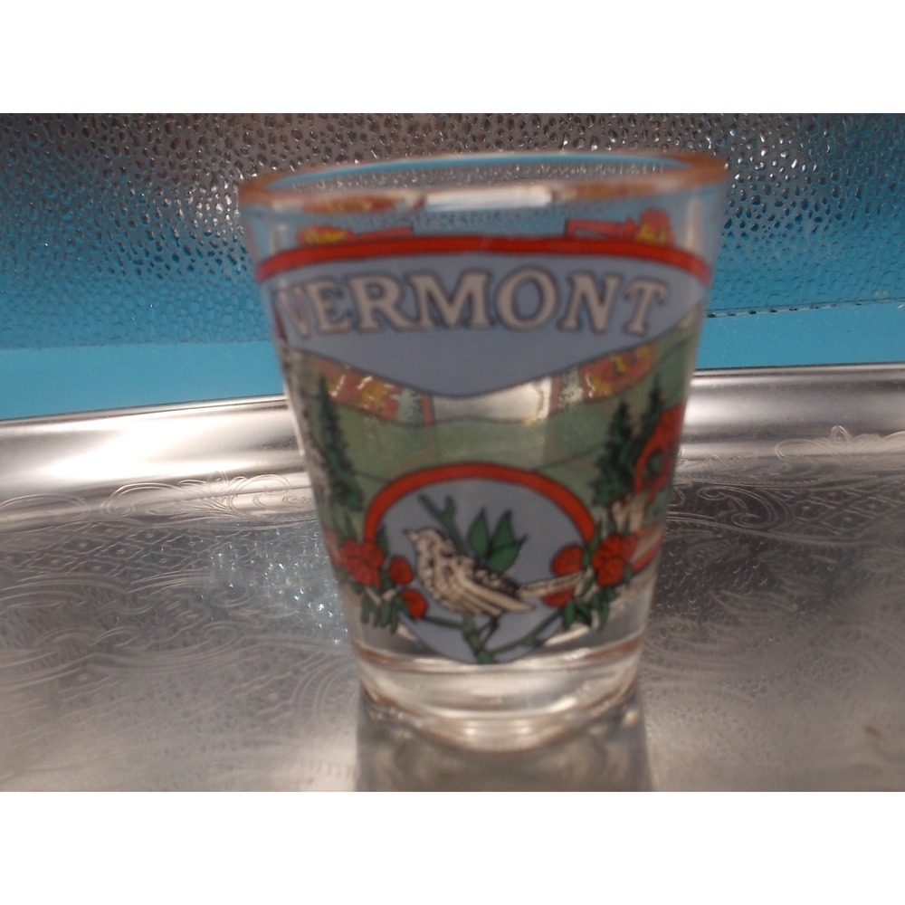 Vintage Vermont Souvenir Shot Glass State Bird Hermit Thrush Scenic Landscape